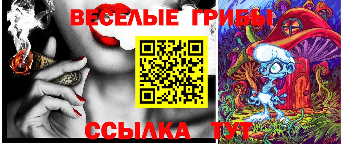 Галлюциногенные грибы GOLDEN TEACHER  Галлюциногенные грибы Magic Shrooms  Вход с VPN  Клин 